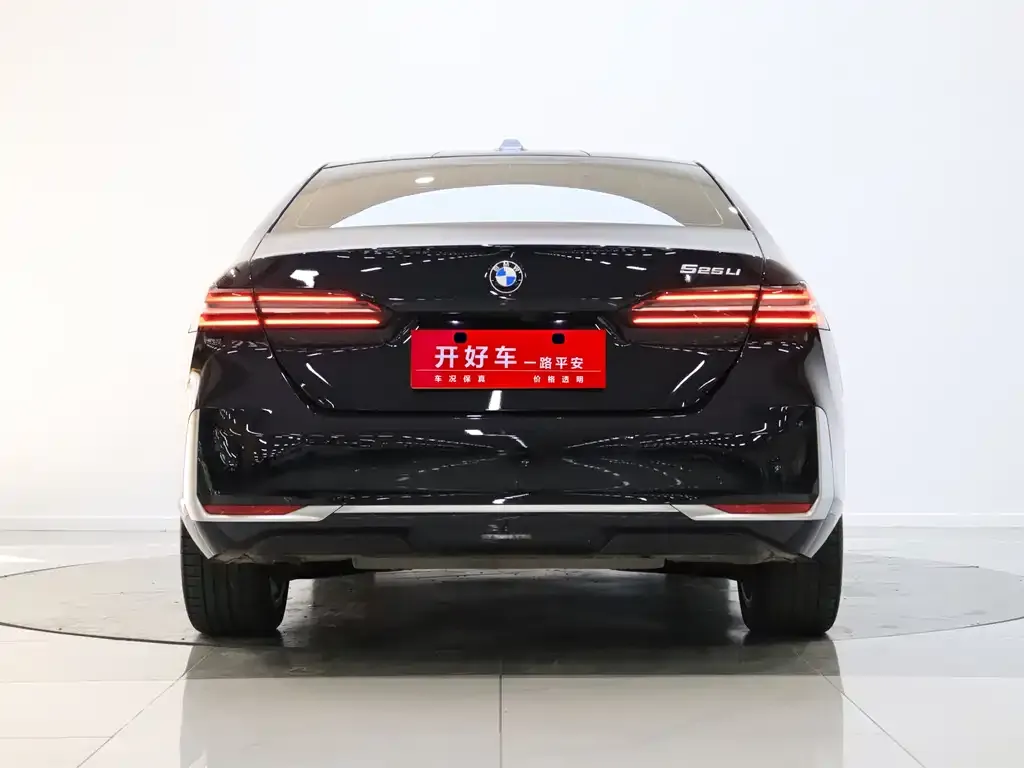 BMW 5 Series 2024 из CN, фото 4