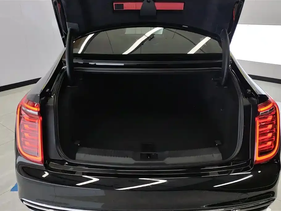 Hongqi H9 2022 из CN, фото 4