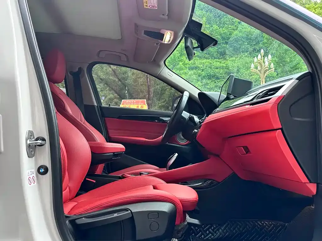 BMW X2 2022 из CN, фото 5