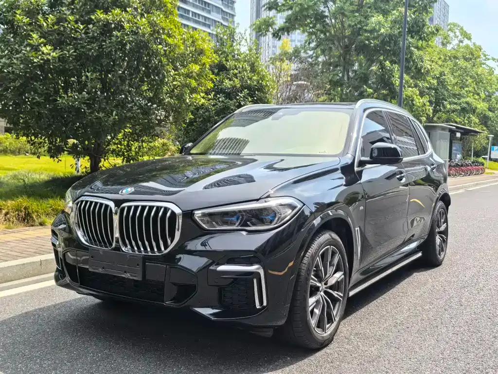 BMW X5 2022 из CN, фото 1