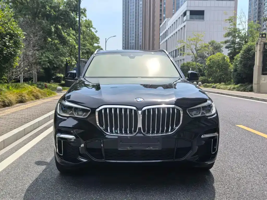 BMW X5 2022 из CN, фото 2