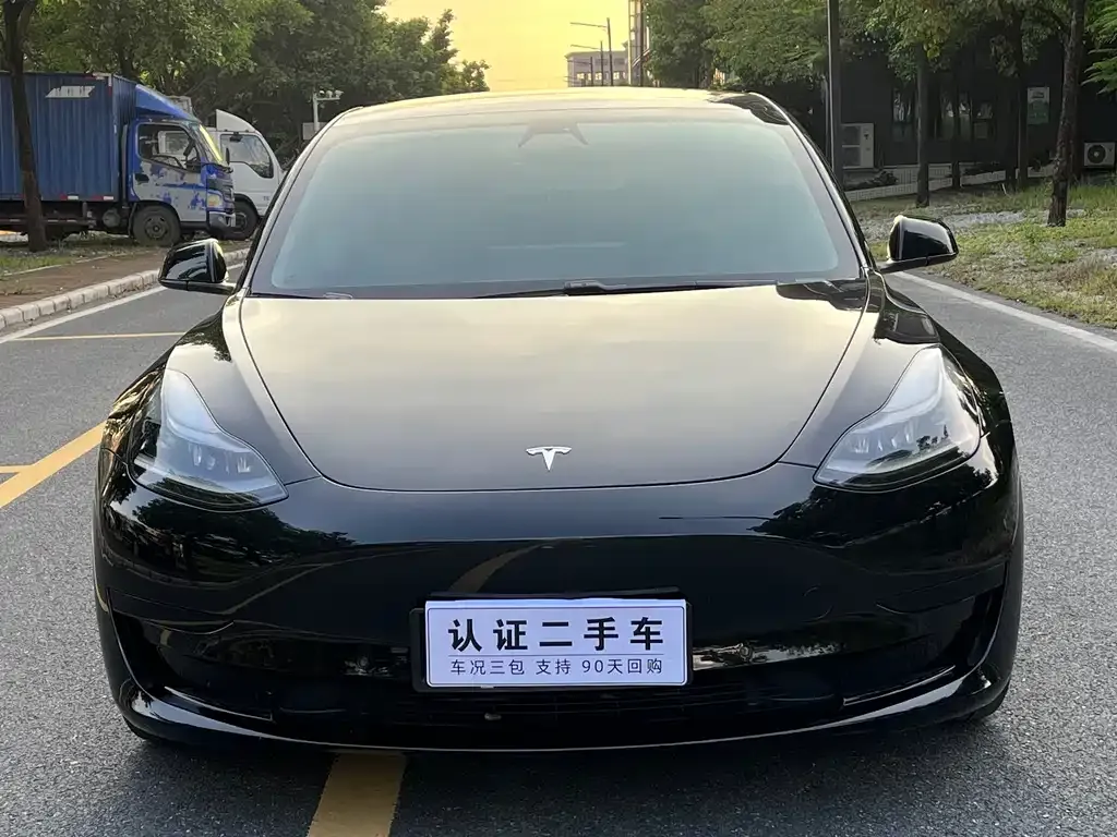 Tesla Model 3 2021 из CN, фото 2
