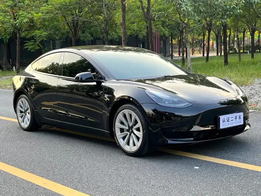 Tesla Model 3 2021 из CN, фото 3