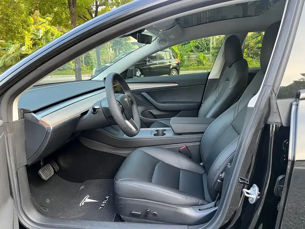 Tesla Model 3 2021 из CN, фото 4