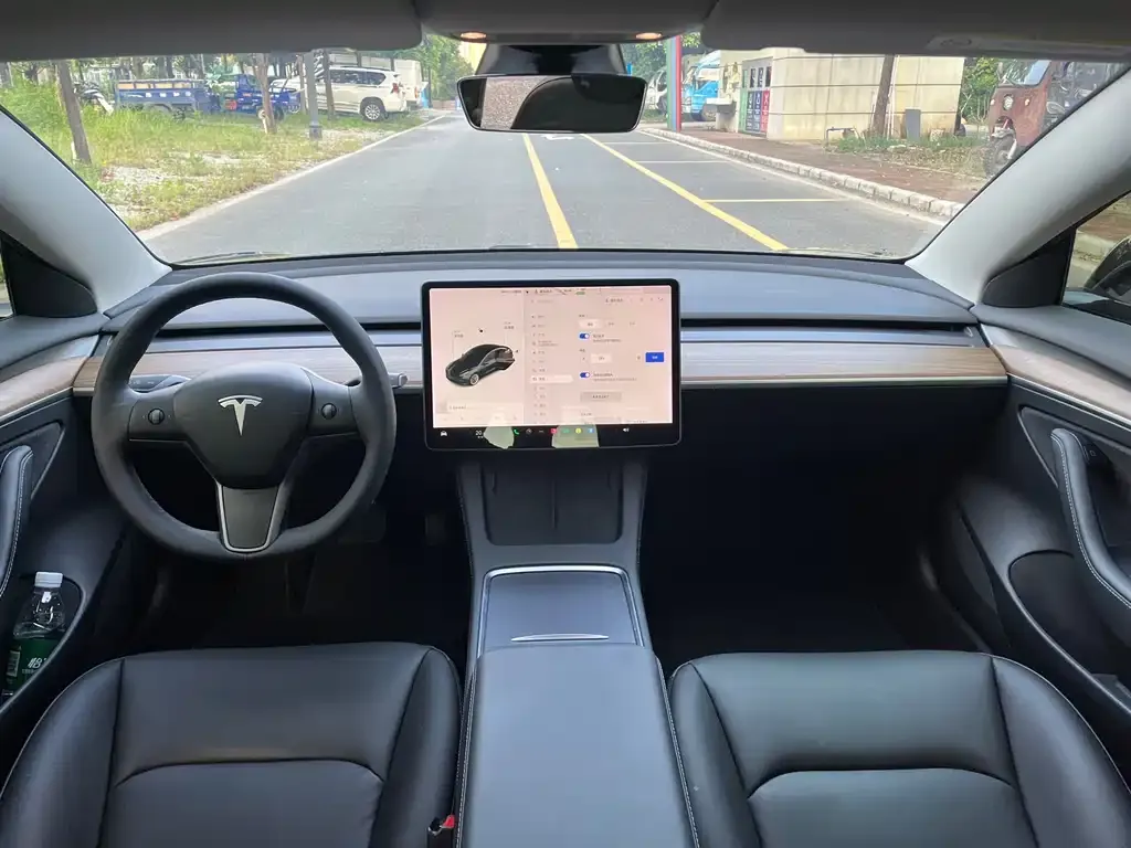 Tesla Model 3 2021 из CN, фото 5