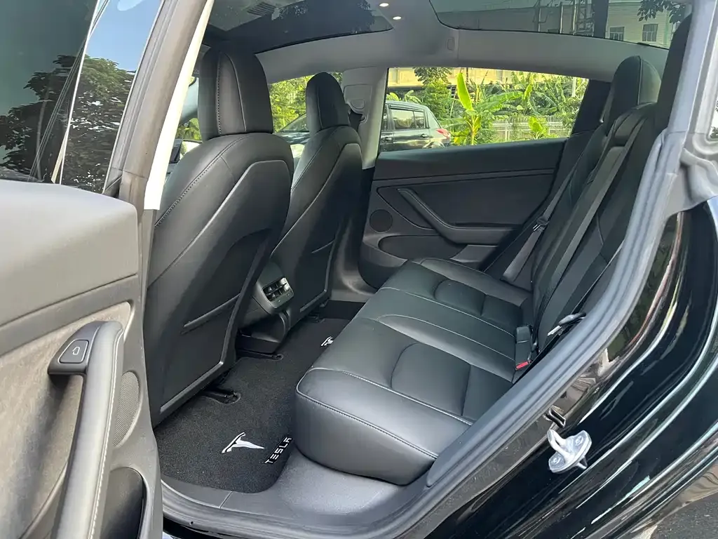 Tesla Model 3 2021 из CN, фото 6