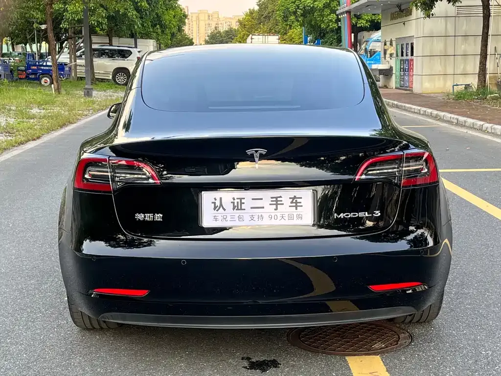 Tesla Model 3 2021 из CN, фото 8