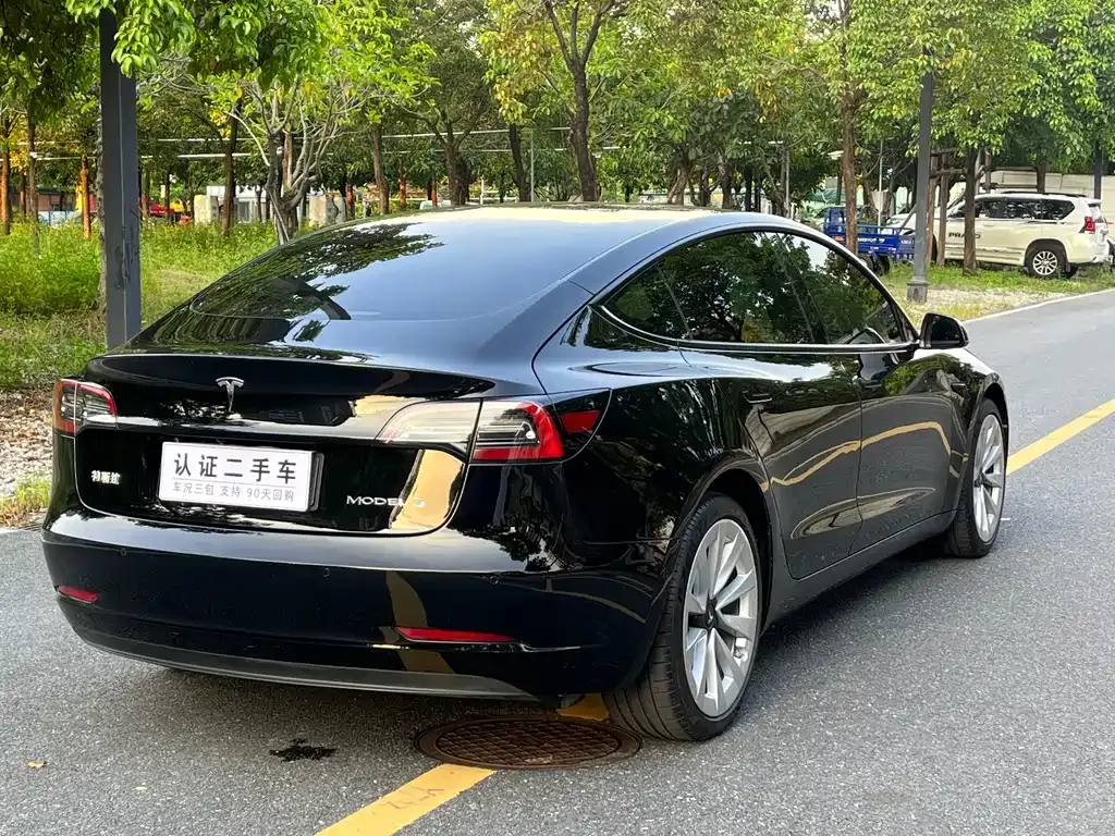 Tesla Model 3 2021 из CN, фото 9
