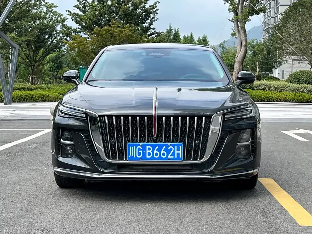 Hongqi H5 2023 из CN, фото 2