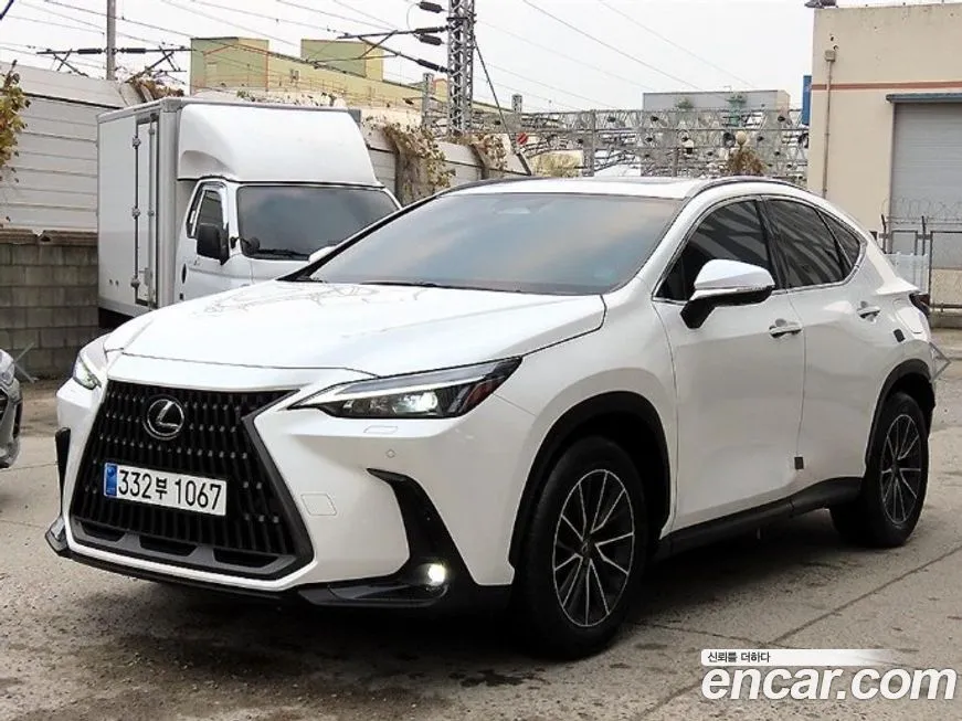 Lexus NX 2024 из KR, фото 2