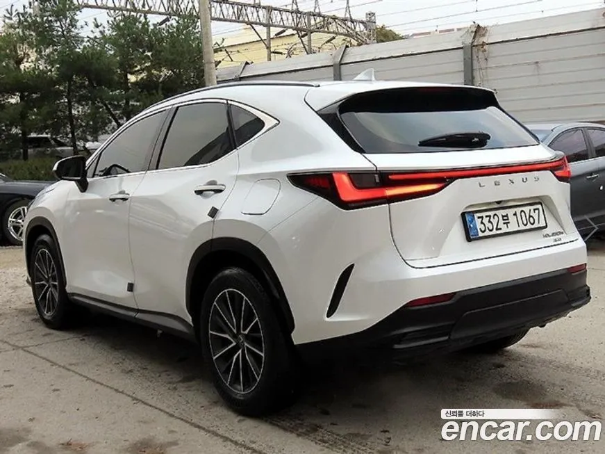 Lexus NX 2024 из KR, фото 3