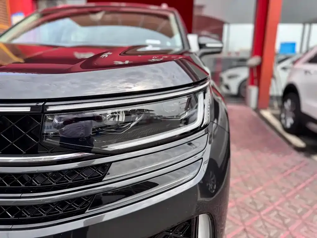 Volkswagen Tavendor 2024 из CN, фото 4