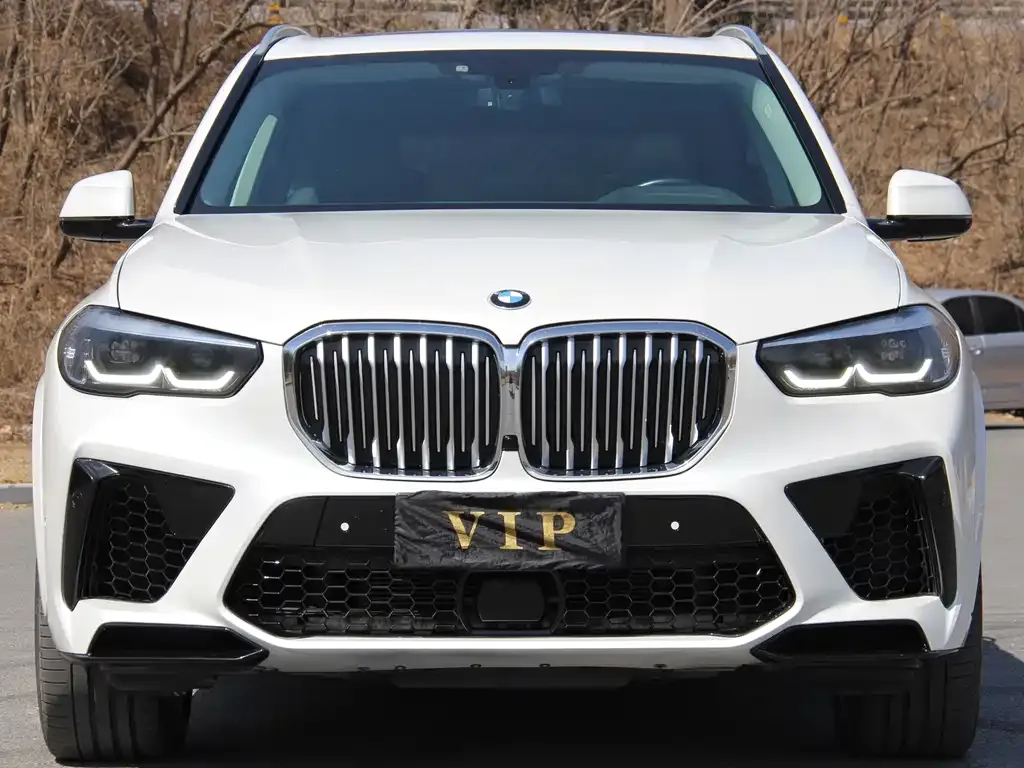 BMW X5 (Import) 2022 из CN, фото 1