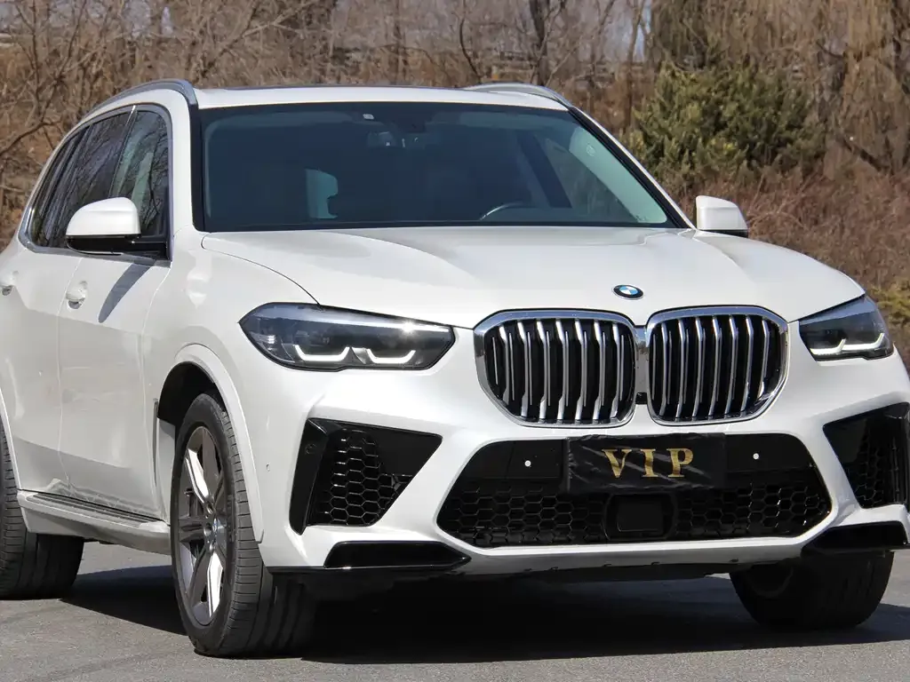 BMW X5 (Import) 2022 из CN, фото 2