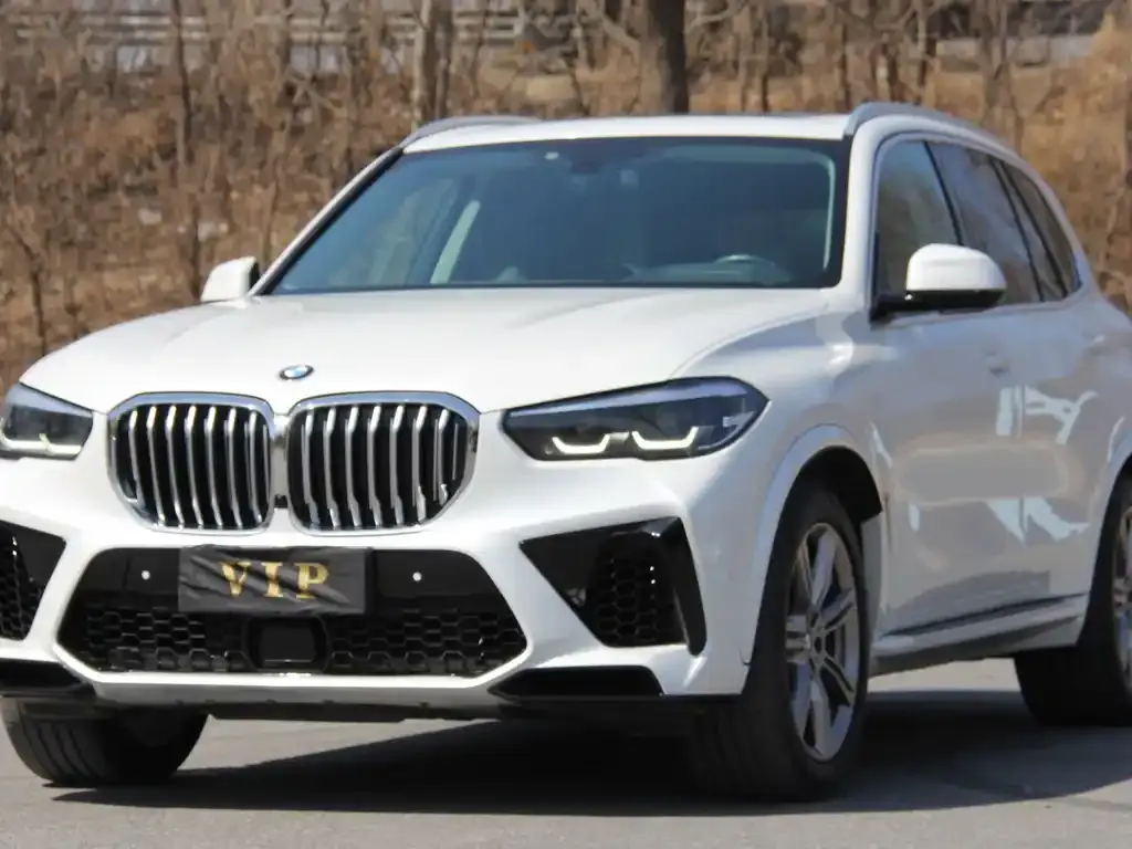 BMW X5 (Import) 2022 из CN, фото 3