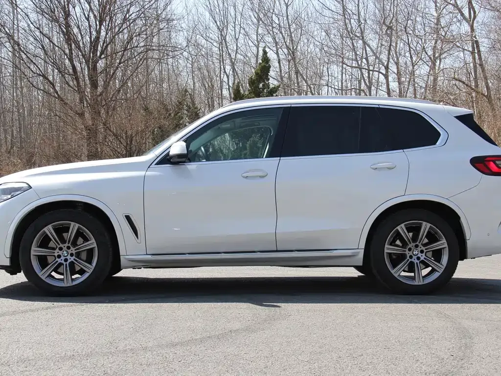BMW X5 (Import) 2022 из CN, фото 4