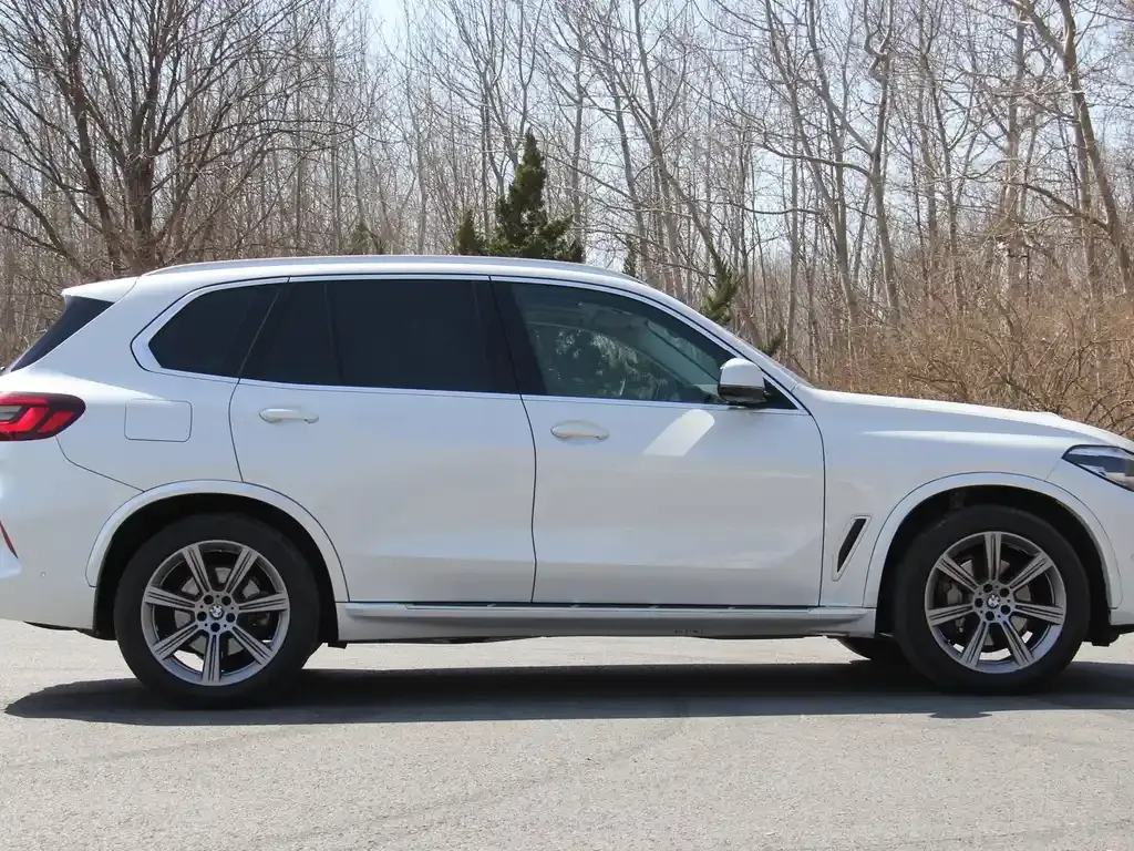 BMW X5 (Import) 2022 из CN, фото 8