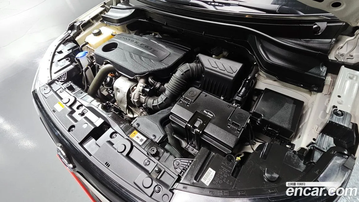 [object Object] TIBOLI 2022 из KR, фото 6