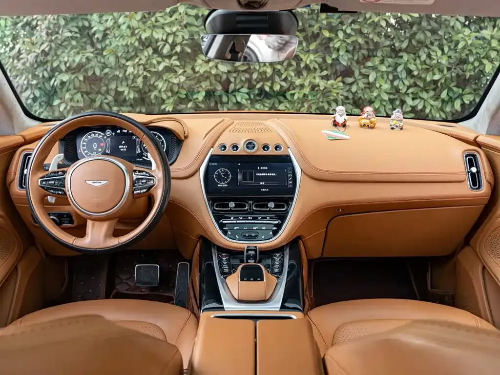 Aston Martin DBX 2021 из CN, фото 10