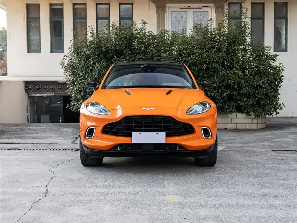 Aston Martin DBX 2021 из CN, фото 2