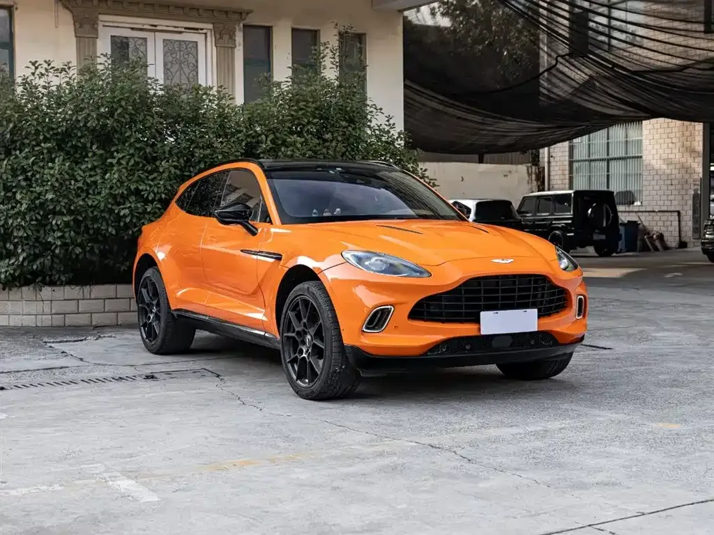 Aston Martin DBX 2021 из CN, фото 3