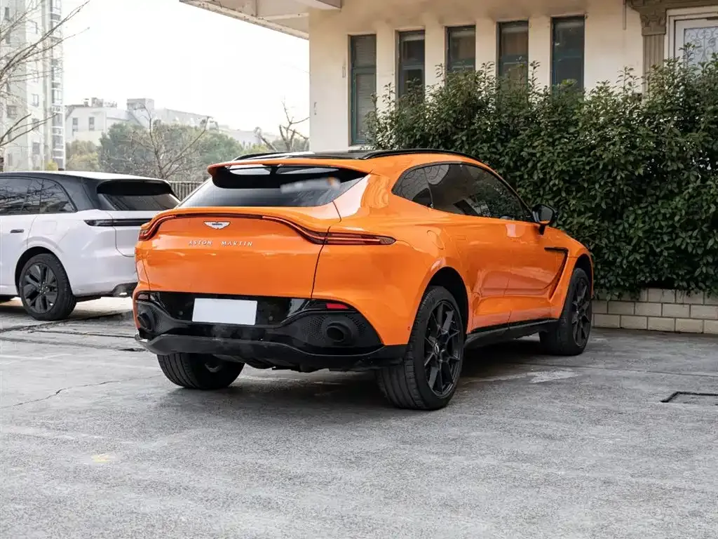 Aston Martin DBX 2021 из CN, фото 4