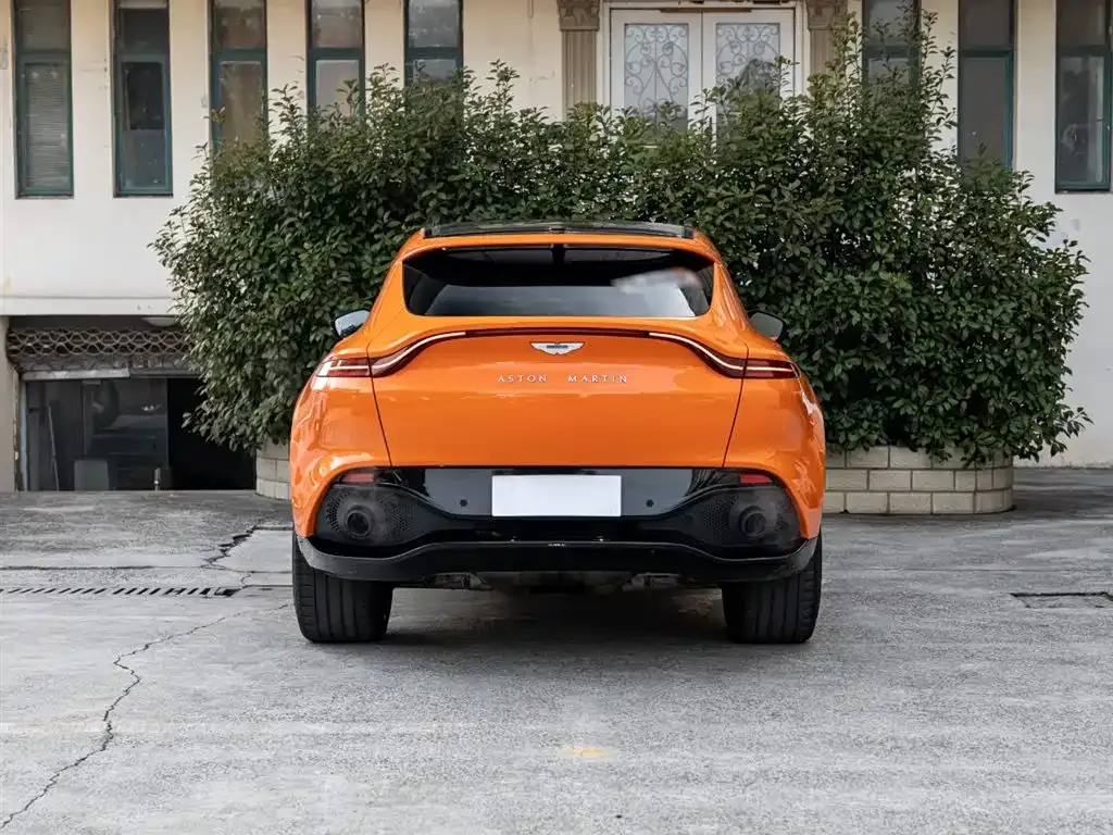 Aston Martin DBX 2021 из CN, фото 5