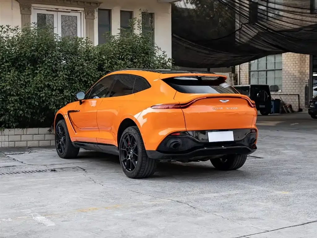 Aston Martin DBX 2021 из CN, фото 6
