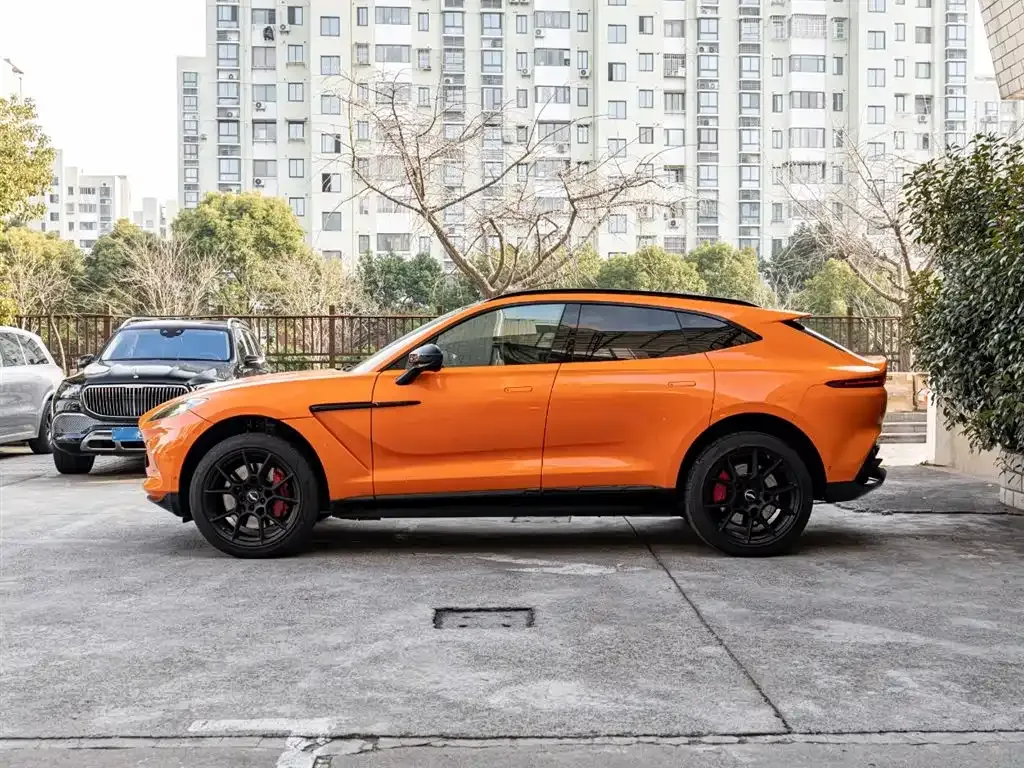 Aston Martin DBX 2021 из CN, фото 7