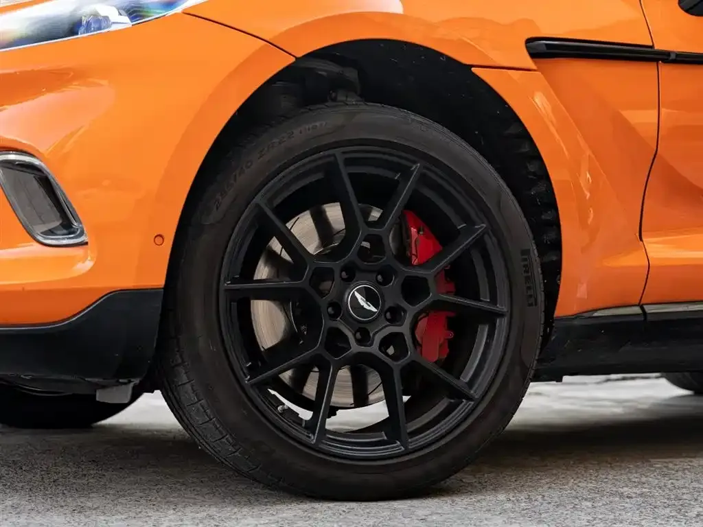 Aston Martin DBX 2021 из CN, фото 8