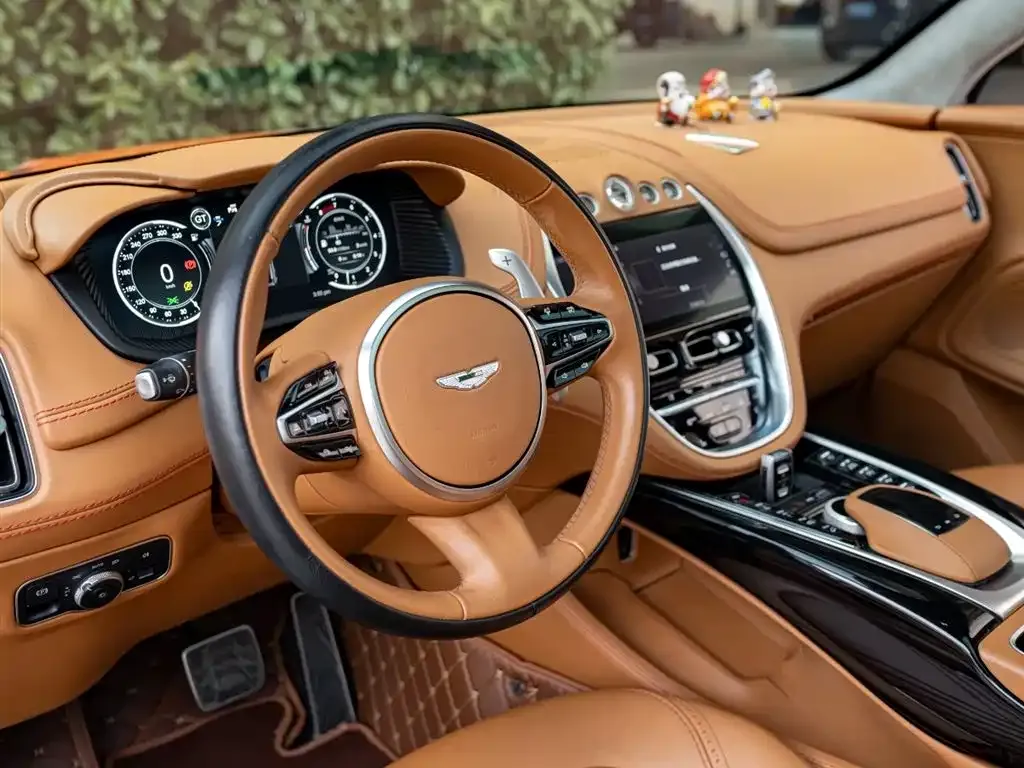 Aston Martin DBX 2021 из CN, фото 9