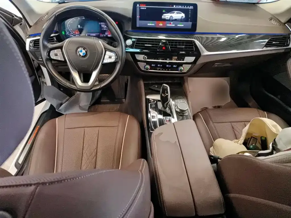 BMW 5 Series 2021 из CN, фото 10