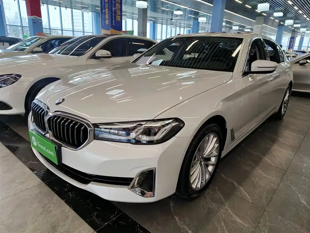 BMW 5 Series 2021 из CN, фото 2