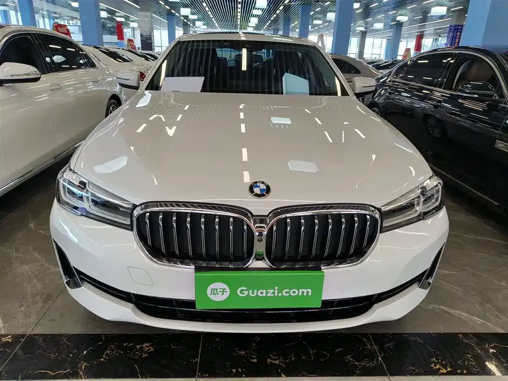 BMW 5 Series 2021 из CN, фото 3