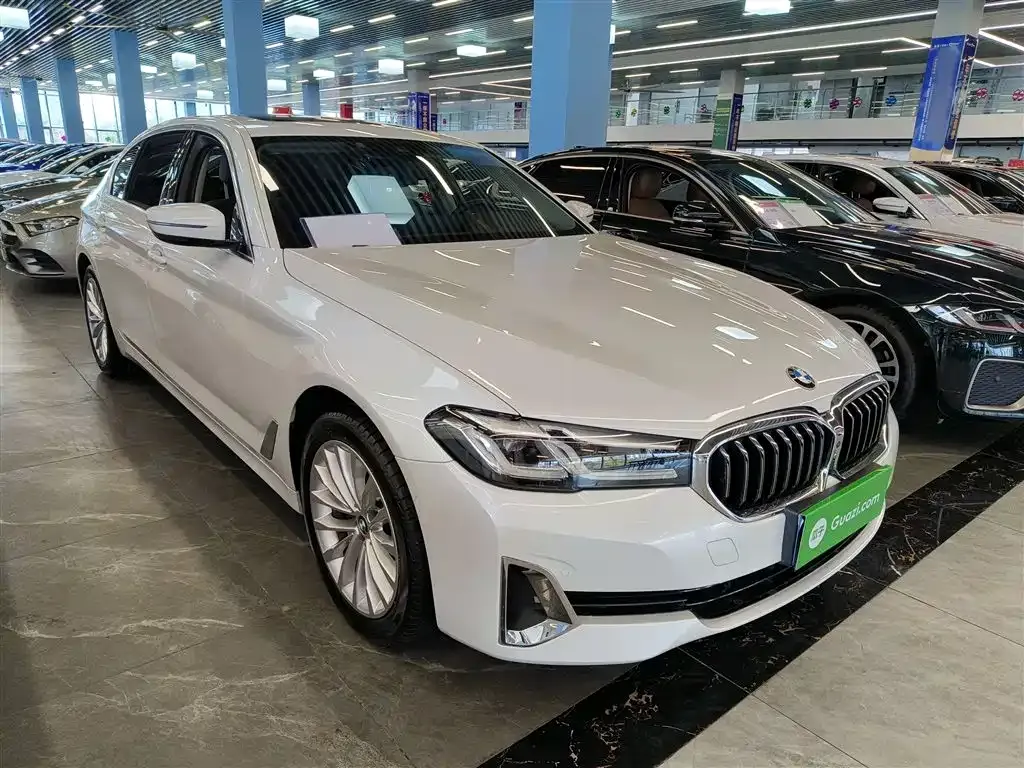 BMW 5 Series 2021 из CN, фото 4