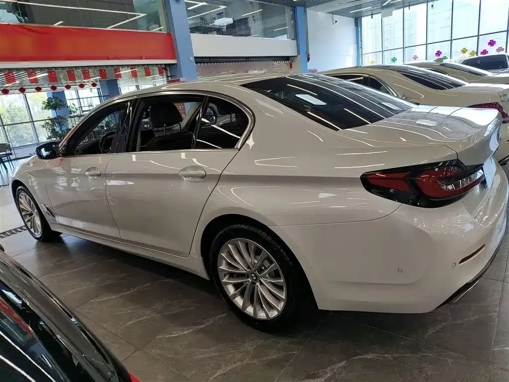 BMW 5 Series 2021 из CN, фото 5