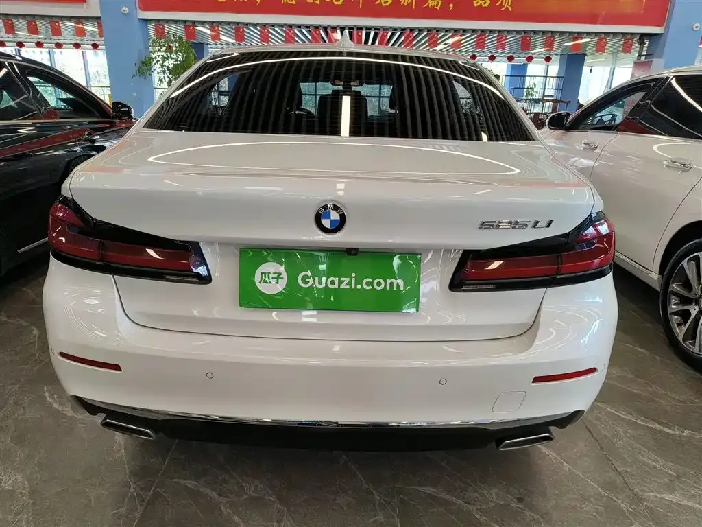 BMW 5 Series 2021 из CN, фото 6
