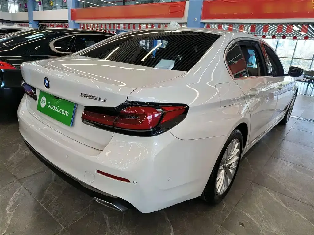 BMW 5 Series 2021 из CN, фото 7