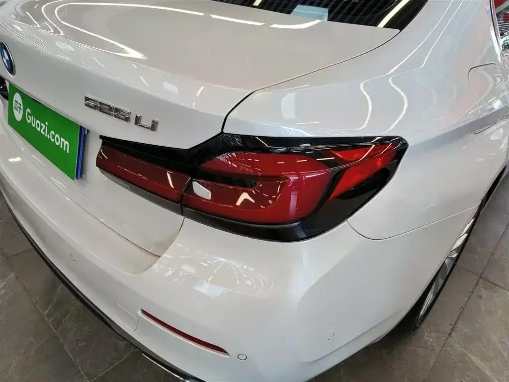 BMW 5 Series 2021 из CN, фото 8