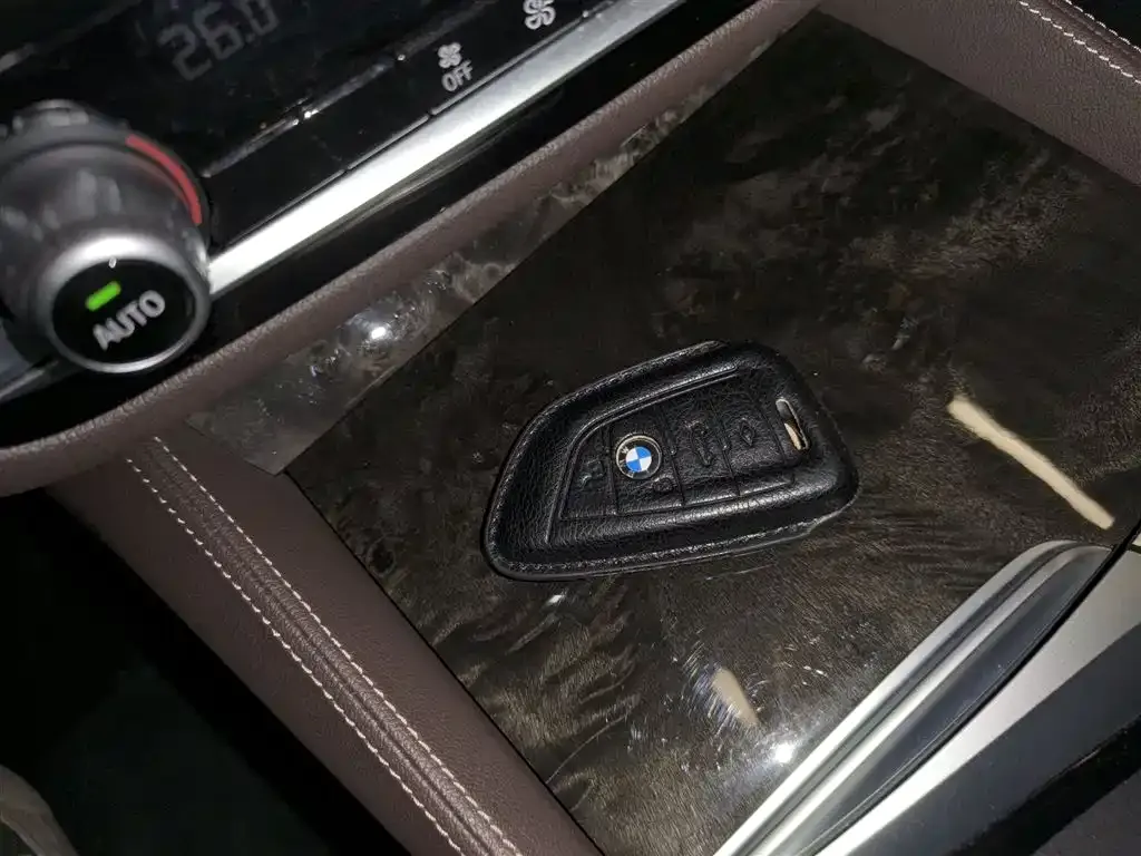 BMW 5 Series 2021 из CN, фото 9