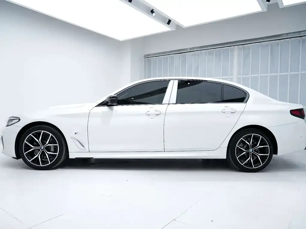 BMW 5 Series 2021 из CN, фото 10