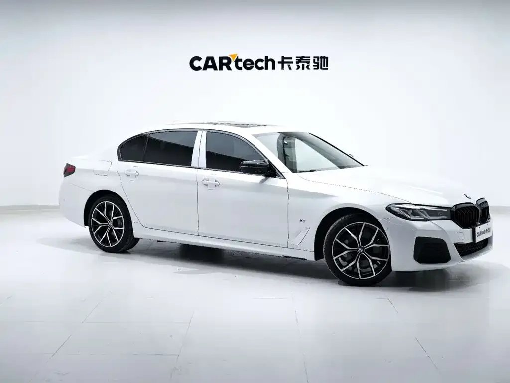 BMW 5 Series 2021 из CN, фото 4