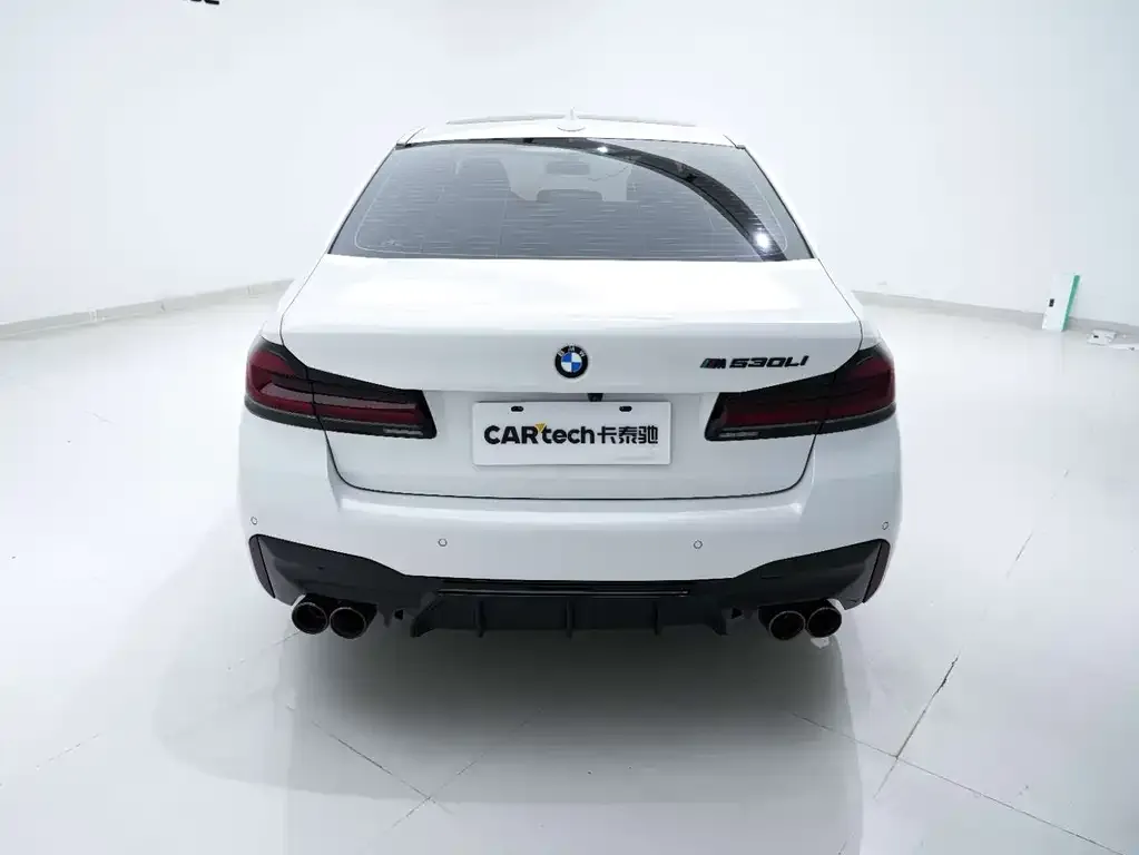 BMW 5 Series 2021 из CN, фото 8
