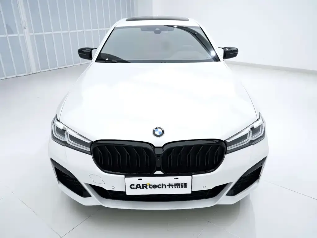 BMW 5 Series 2021 из CN, фото 9