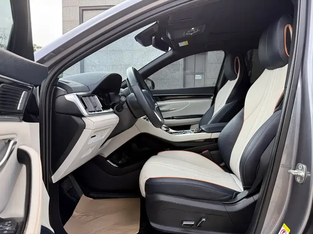 BYD PLUS New Energy 2023 из CN, фото 4