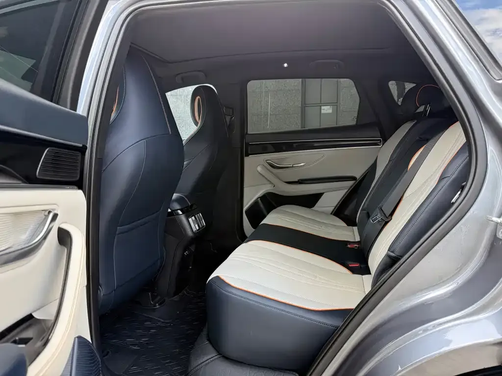 BYD PLUS New Energy 2023 из CN, фото 5
