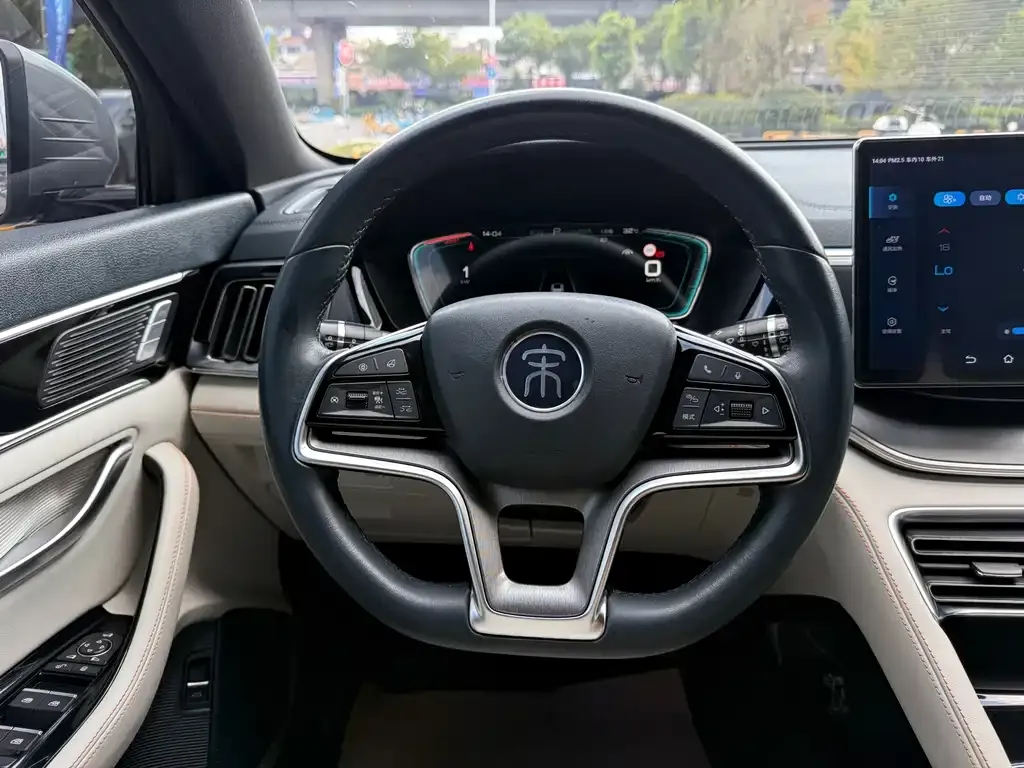 BYD PLUS New Energy 2023 из CN, фото 7