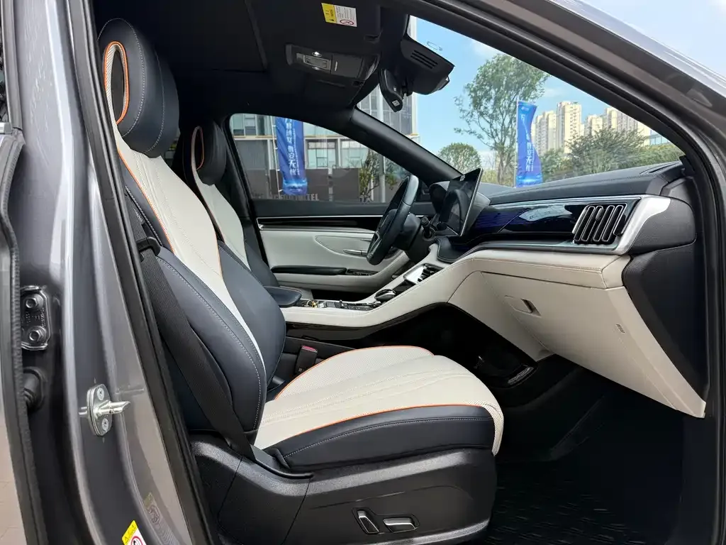 BYD PLUS New Energy 2023 из CN, фото 9