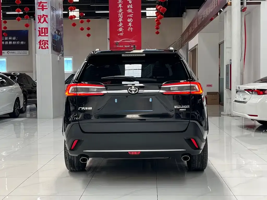 Toyota Wildlander 2021 из CN, фото 5