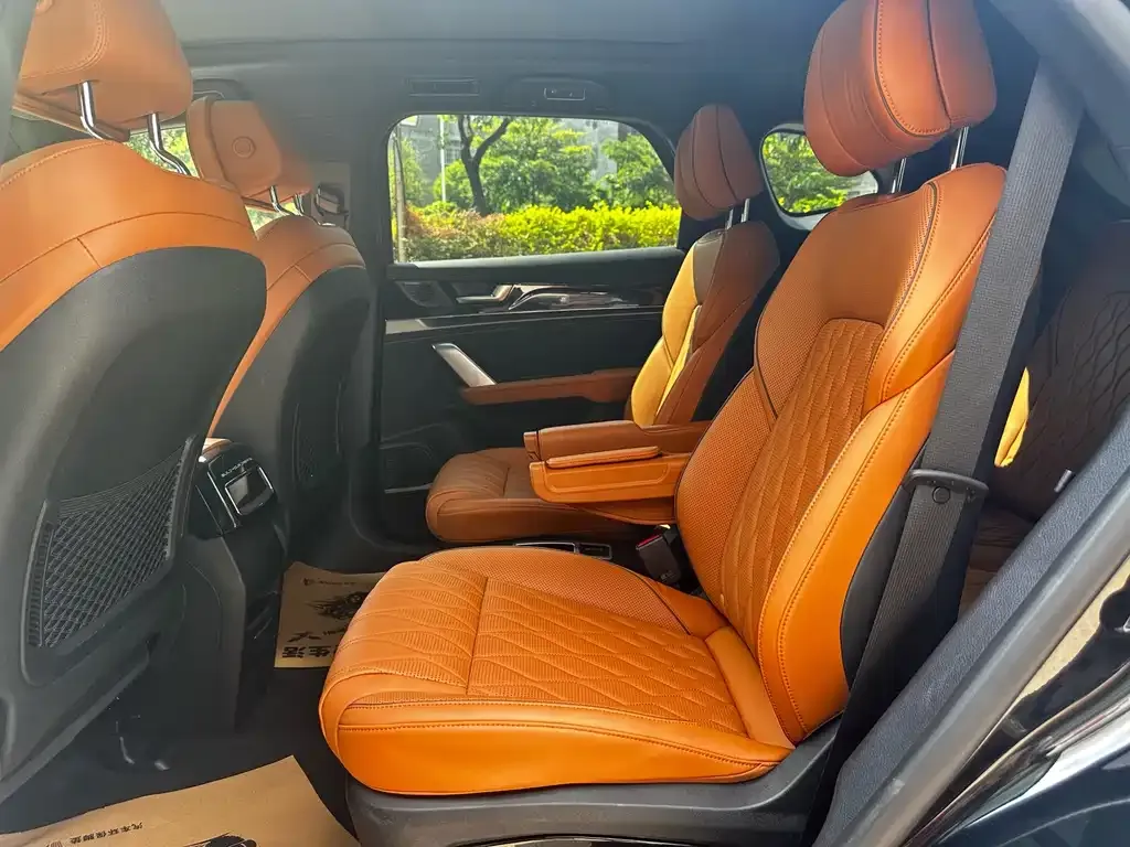 BYD Tang New Energy 2024 из CN, фото 10